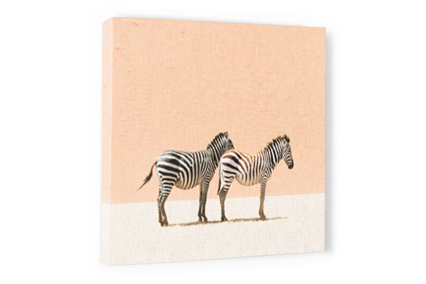 Zebra Canvas Wall Art